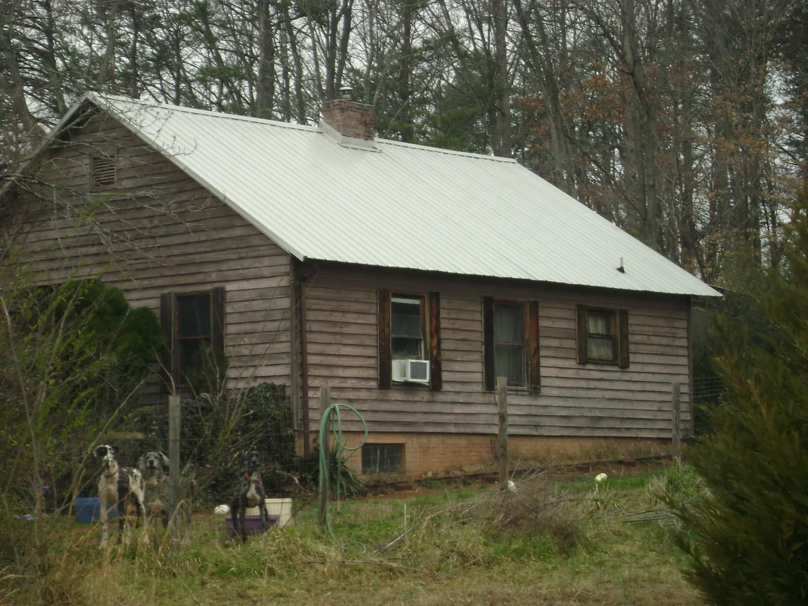 White metal roof on an old wood sided farmhouse, from a Metal Roof Installation job in Stirling City